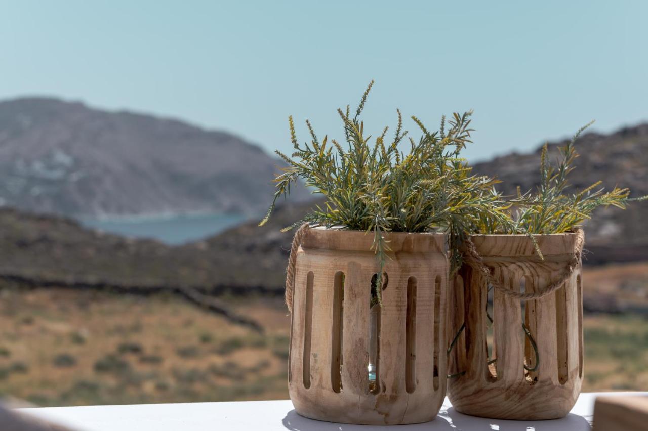 Anemela Villas & Suites Mykonos Agrari  Buitenkant foto