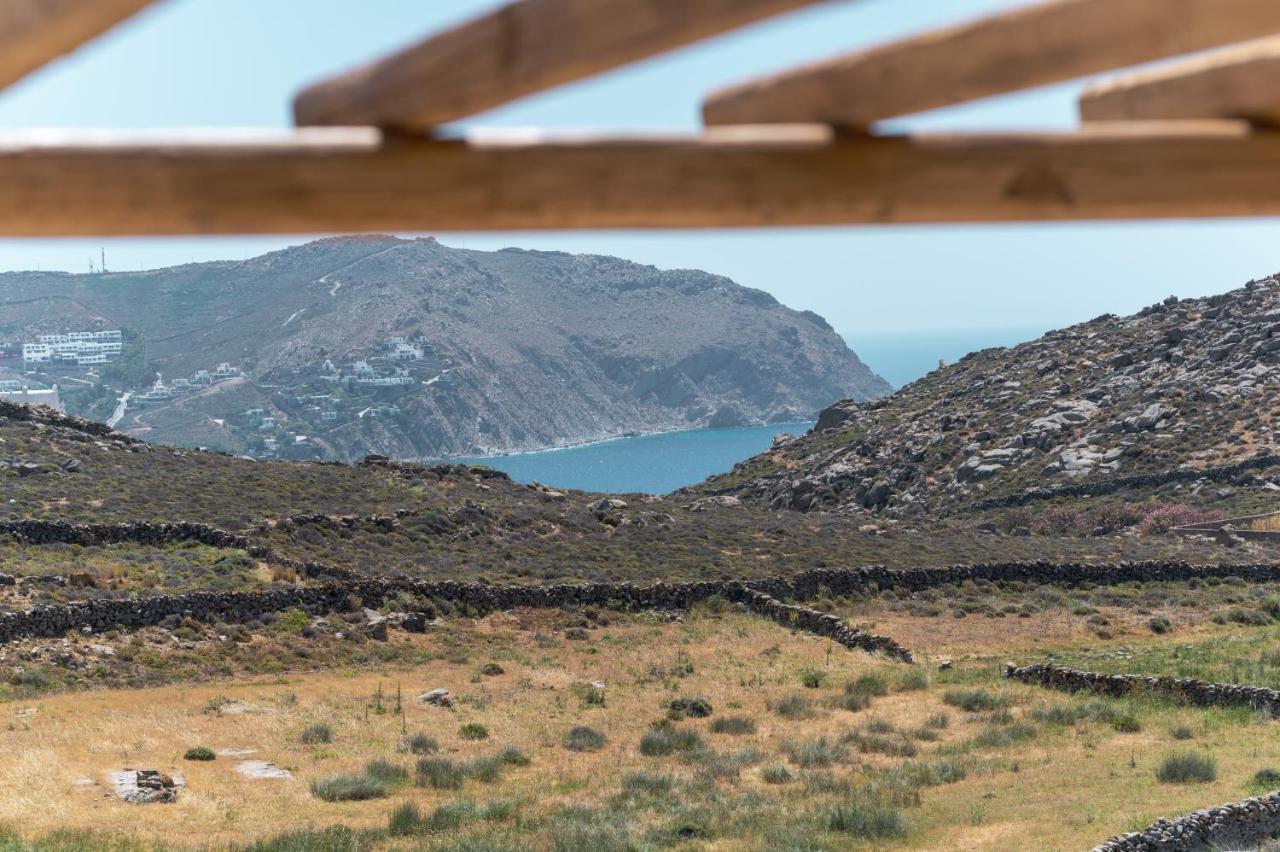 Anemela Villas & Suites Mykonos Agrari  Buitenkant foto